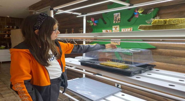 MBA Okullarında dikey tarım uygulamaları başladı