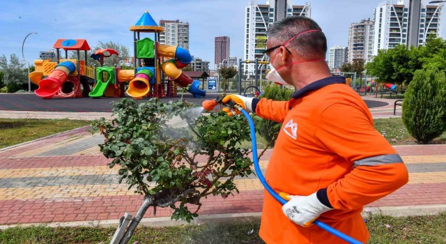 Mersin Büyükşehir Belediyesi ekipleri sahipsiz arazileri ilaçlıyor
