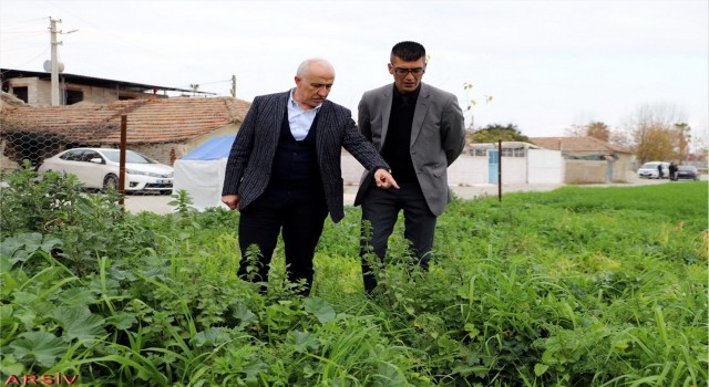 Mersinde ata yadigarı karakılçık tohumunun üretiminden büyük verim elde edildi