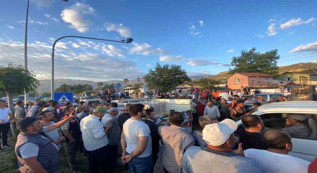 Mersinde kayısı 2 günde 5 liraya düştü, üretici tepki gösterdi