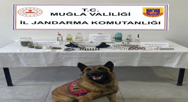 Muğlada uyuşturucu operasyonu: 3 gözaltı