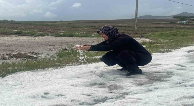 Nevşehirde 30 bin dekar ekili arazi doludan zarar gördü