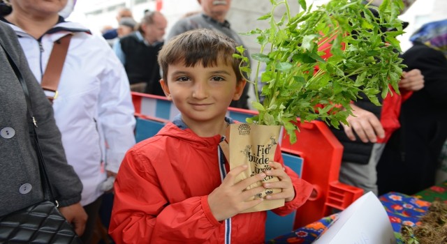 Nilüferde balkon tarımı fidelerle yaygınlaşıyor