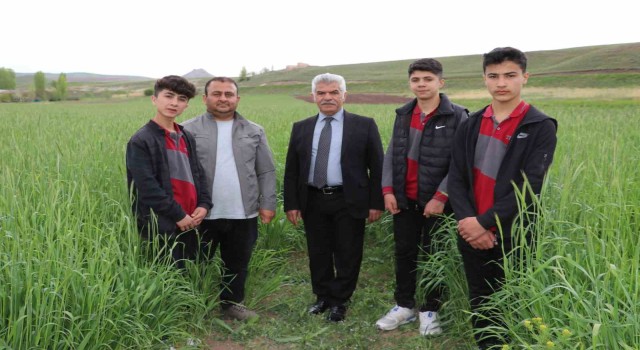 Öğrencilerin ektiği ‘ata tohumu boy verdi