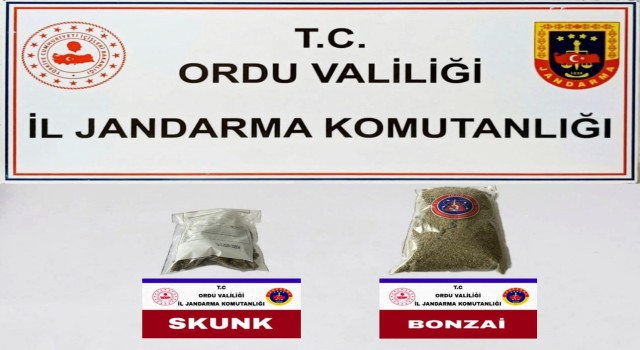 Orduda uyuşturucu operasyonu: 2 gözaltı