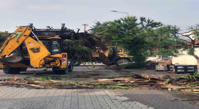 Ortacada ‘Temiz çevre çalışmaları sürüyor