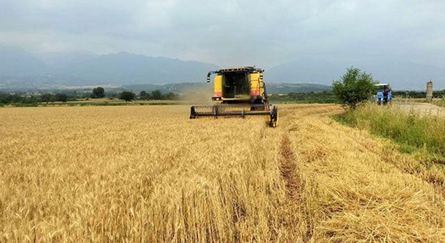 Osmaniye'de Biçerdöverle hasatlarda uyarı yapıldı