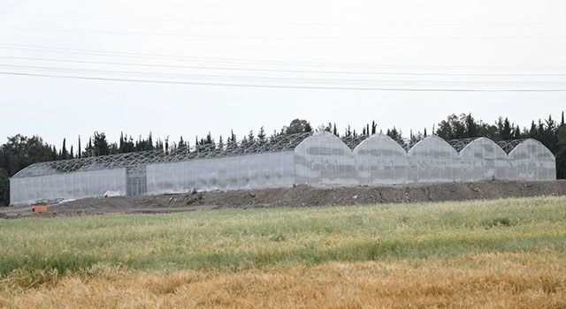 Osmaniye'de Çiçek üretim sahasındaki çalışmalar bitmek üzere