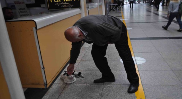 Otogarı mesken edinen Paslak yazıhanenin maskotu haline geldi