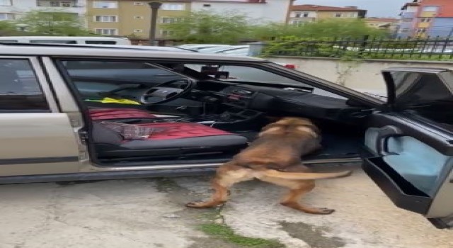 Otomobildeki uyuşturucu zulası Ceku ile böyle tespit edildi