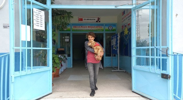 Oy kullanmaya köpeğiyle geldi