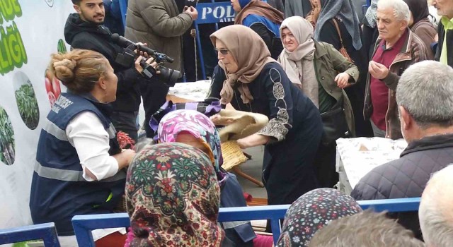 Rizede Ata tohumu ve fide dağıtımında izdiham