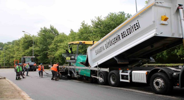 Sakarya Büyükşehir şehrin girişinde yenileme işlemlerini başlattı