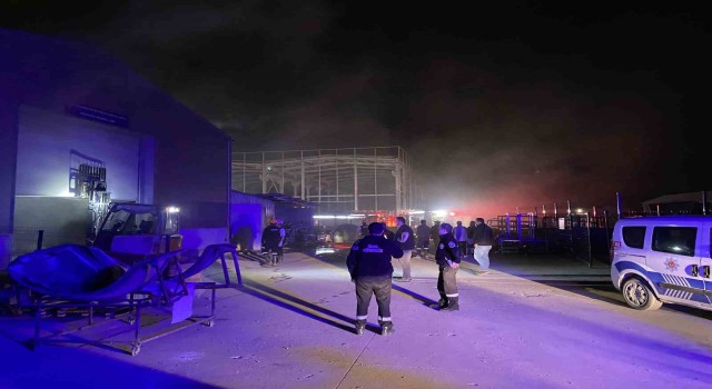 Sakaryada fabrika yangını