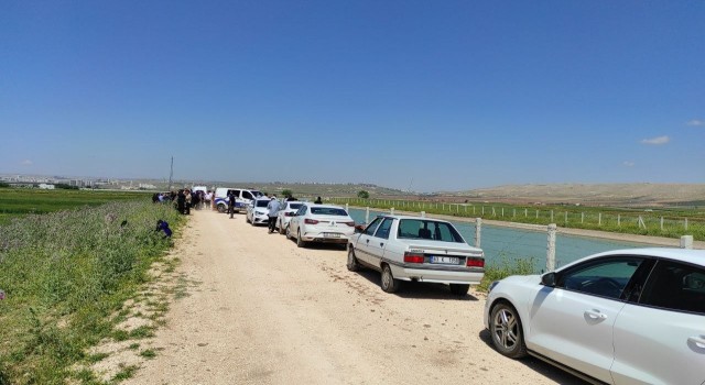 Şanlıurfada ölü sayısı 5e yükseldi