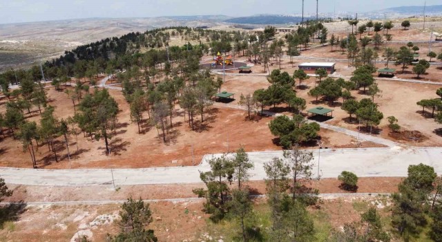 Şanlıurfaya yeni yeşil alanlar kazandırılıyor