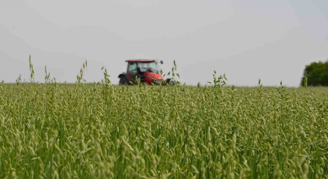 Sarayda tarla günü düzenlendi