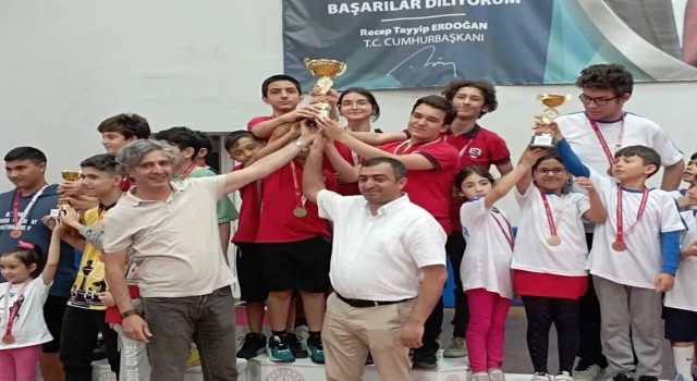 Satranç İl Şampiyonluğu, Sökenin oldu