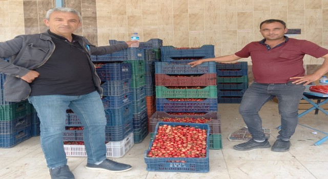 Selendide sezonun ilk kiraz pazarı kuruldu