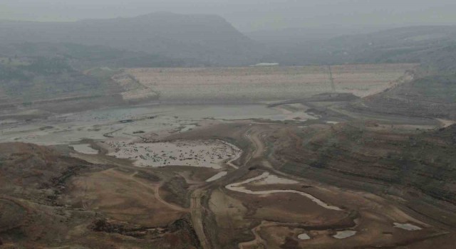 Sevindiren manzara, çöle dönmüştü adeta yeniden doldu taştı