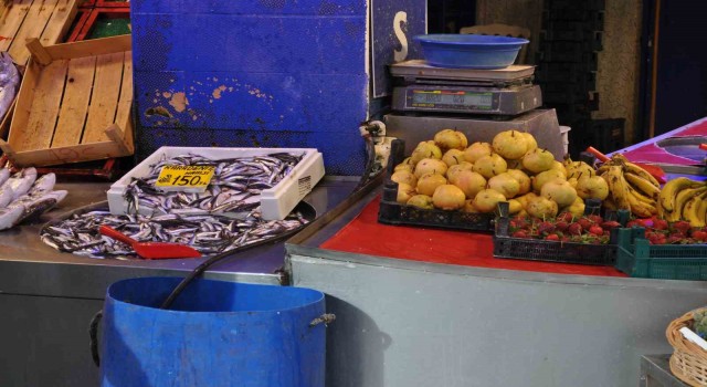 Sezonun kapanmasıyla balıkçı esnafı meyve ticaretine yöneldi