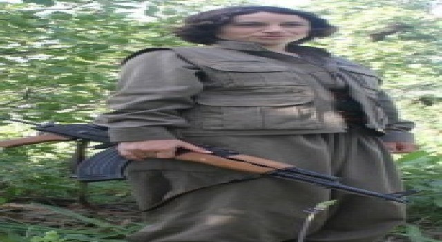 Siirtte PKK/KCK terör örgütü mensubu adına oy kullanan şahıs yakalandı