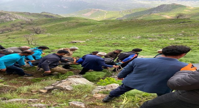 Siirtte yaban bitkisi toplarken kayalıklardan düşen 60 yaşındaki adam öldü