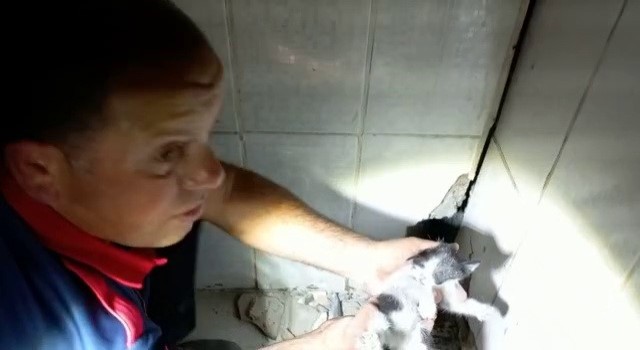 Sıkışan yavru kediyi itfaiye kurtardı