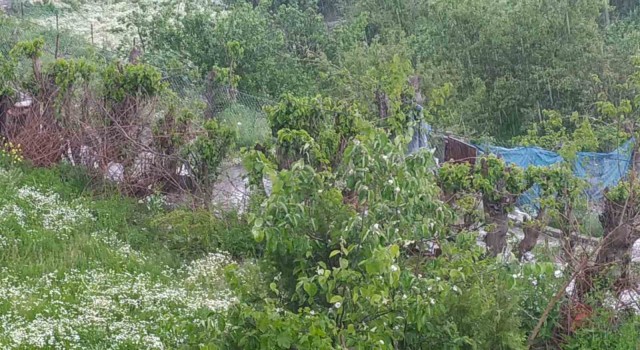 Silvanda sağanak ve dolu yağışı etkili oldu