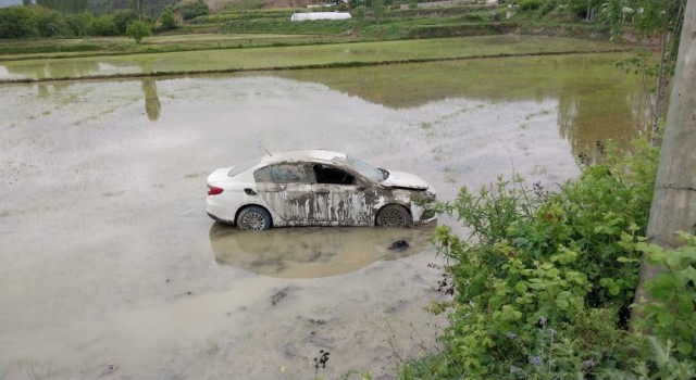 Sinopta otomobil çeltik tarlasına uçtu: 1 yaralı