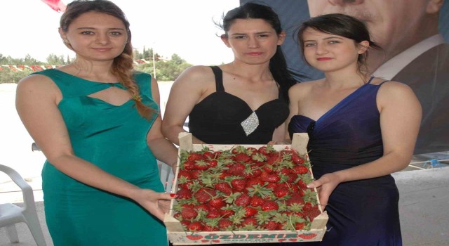 Sivaslıda 35. Çilek ve Kültür Festivali için geri sayım başladı