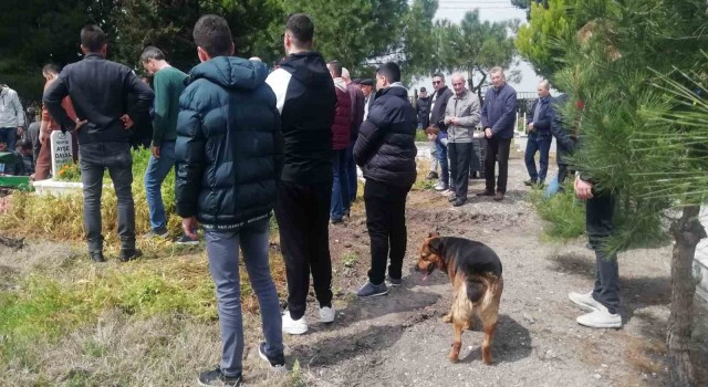 Sokak köpeği Messi cenazelere katılıyor