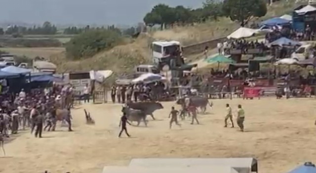 Sökedeki boğa güreşleri nefes kesti