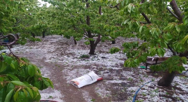 Suluovada sağanak ve dolu 4 köyde arazileri vurdu