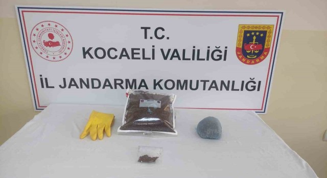 Şüphelinin evinde yapılan operasyonda bonzai ele geçirildi