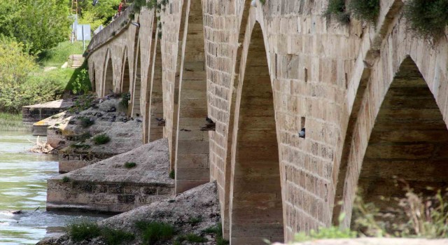 Tarihi köprü adeta kuşlara yuva oldu