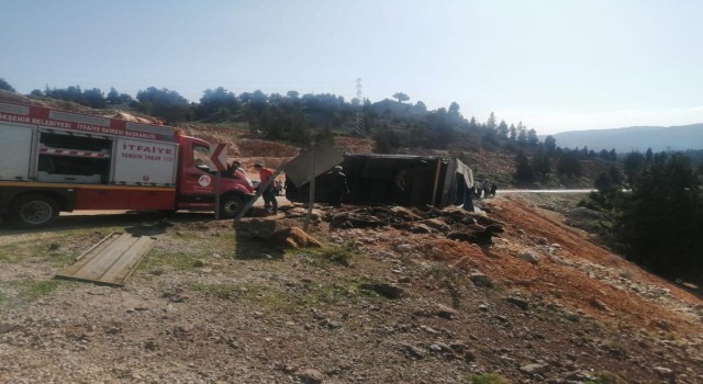 Tır devrildi, 60 hayvan telef oldu