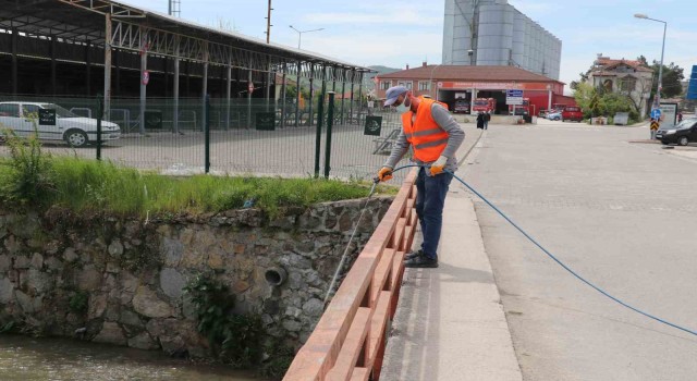 Tüm ilçeyi haşereye karşı ilaçladılar