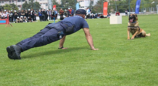 Tüm matematik sorularını cevaplayan Jandarma köpeği Rüzgar izleyenleri hayran bıraktı