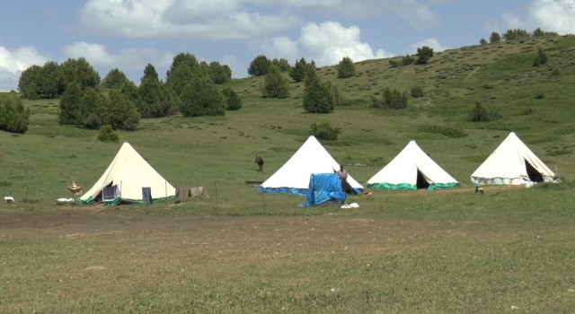 Tunceli Valiliğinden sürü sahipleri ve arıcılara duyuru