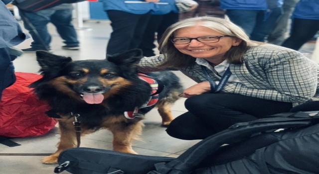 Türkiyede deprem çalışmalarına katılan arama-kurtarma köpeği Aaron hayatını kaybetti