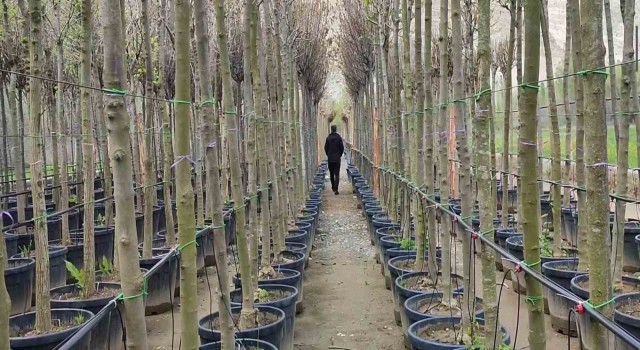 Uzunderede büyük yatırım