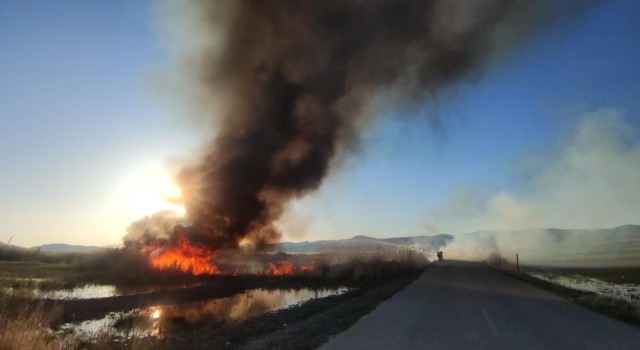 Van Gölü Havzasındaki sulak alanlar tehlikede
