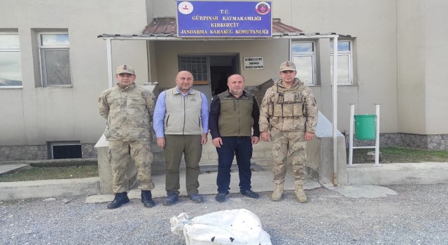 Vanda kafes avcılığı