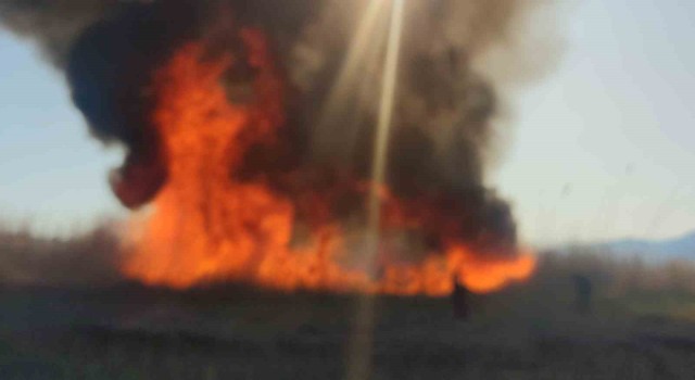 Vanda sazlık yangınları devam ediyor