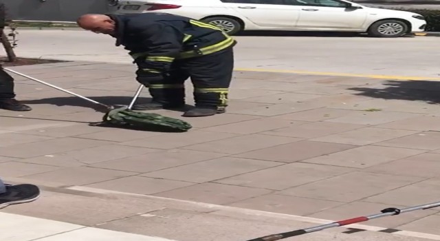 Yalovada alışveriş merkezi önünde 1 metrelik yılan yakalandı