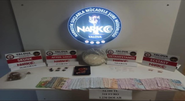 Yalovadaki uyuşturucu operasyonunda 1 tutuklama