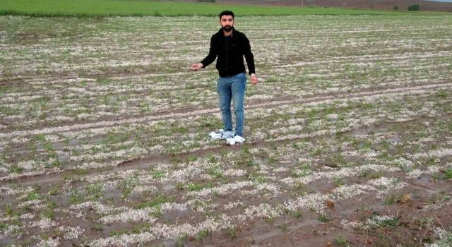 Yozgatta dolu tarım arazilerine zarar verdi