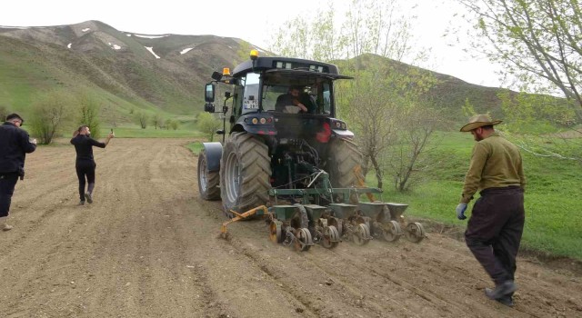 Yüksekovada 35 yıl aradan sonra şeker pancarı ekimi yapıldı