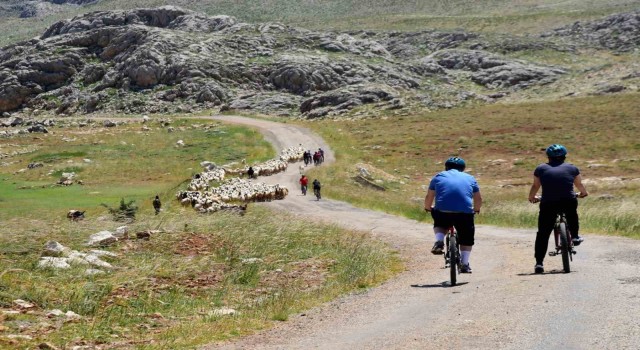 44. Uluslararası Kemaliye Kültür ve Doğa Sporları Şenliği 23 Haziranda başlıyor